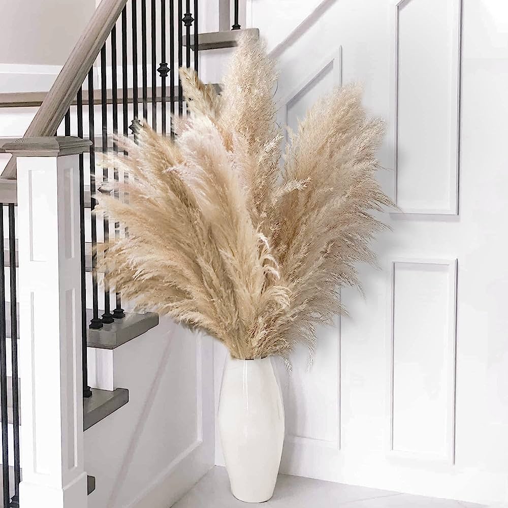 Photo 1 of 10pcs 40'' Tall Natural Dried Pampas Grass - Elegant Fluffy Pampas Grass for Floor Vase - Beige Pampas Grass Decor Tall - Boho Wedding Decor - Boho Home Decor Dried Flowers