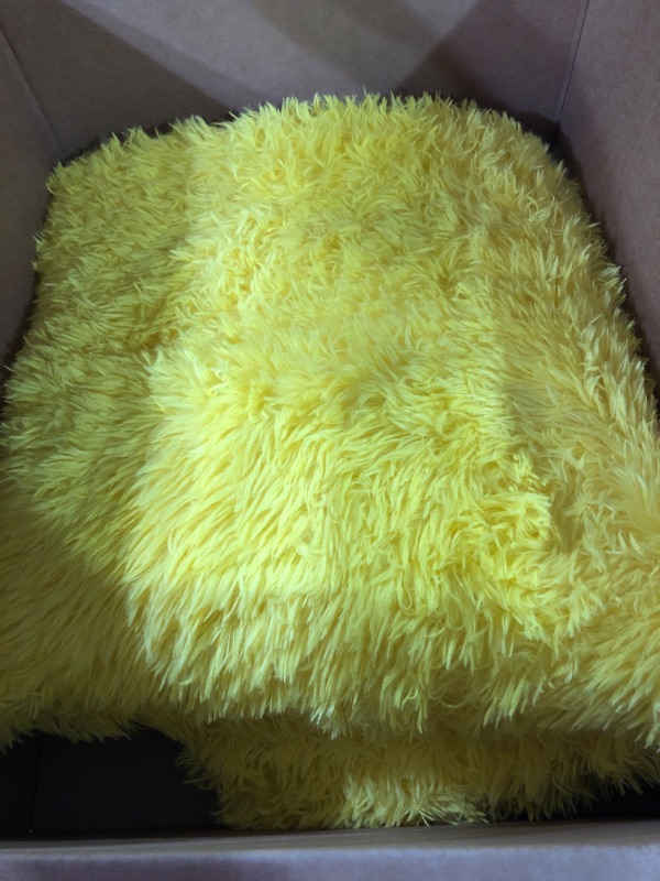 Photo 2 of **SEE NOTES** BENRON Plush Yellow Fluffy Rug Ultra Soft Furry Bedroom Rugs 4 x 6 Feet