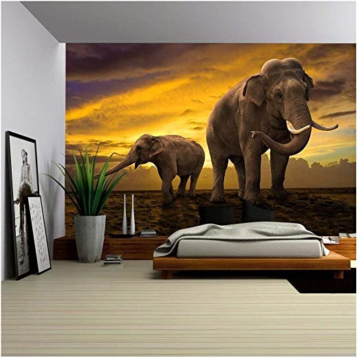 Photo 1 of [notes!] Elephant mural wallpaper