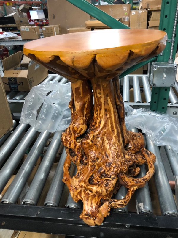 Photo 3 of Rustic Azalea Tree Stump/Root End Table 