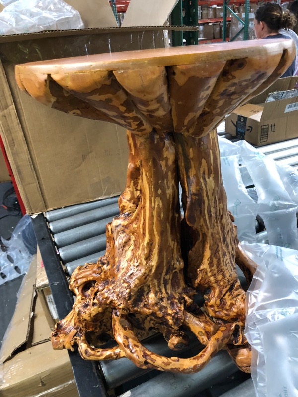 Photo 4 of Rustic Azalea Tree Stump/Root End Table 