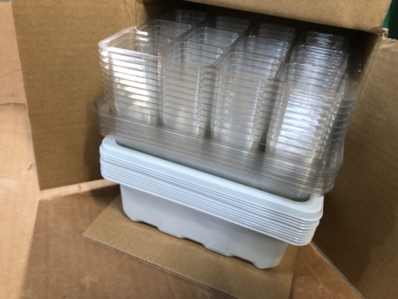 Photo 1 of 10 Pack Seed Growing Trays