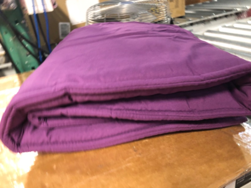 Photo 2 of *USED* Toddler Nap Mat Purple