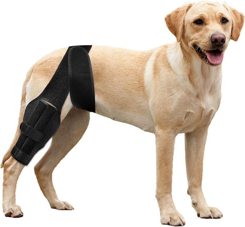 Photo 1 of  Dog Knee Brace