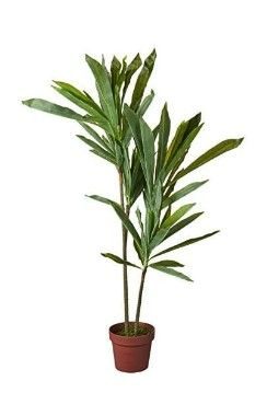 Photo 1 of **SEE NOTES** Nearly Natural 43in. Dracaena Silk (Real Touch) Artificial Plant, Green 