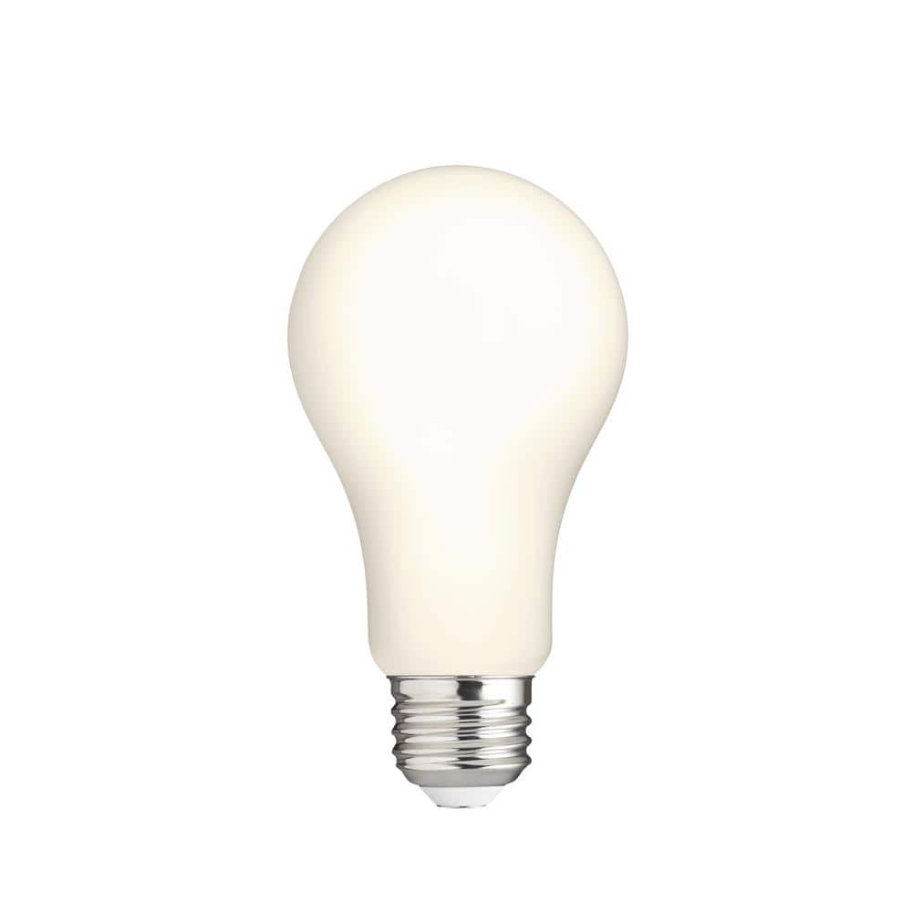 Photo 1 of 100-Watt  Frosted Glass Filament LED Light Bulb Bright White (2-Pack)