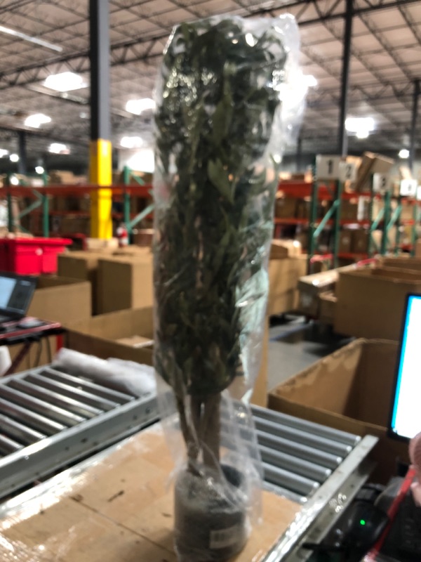 Photo 1 of Realead 6ft Artificial Olive Tree, Tall Faux Olive Tree Plants, Fake Potted Olive Silk Tree with Branches and Fruits, Artificial Trees for Modern Home Office Living Room Floor Decor Indoor (72in) 72in(6ft)