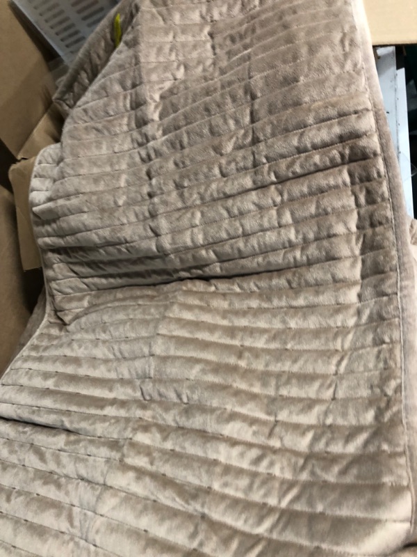 Photo 3 of *****LIKE NEW ***** STOCK PHOTO FOR REF ONLY *****ROARINGWILD Beige Cream Tan Queen Size Quilt Bedding Sets with Pillow Shams, Full Lightweight Soft Bedspread Coverlet, Quilted Blanket Thin Comforter Bed Cover for All Season, 3 Pieces, 90x90 inches Beige 