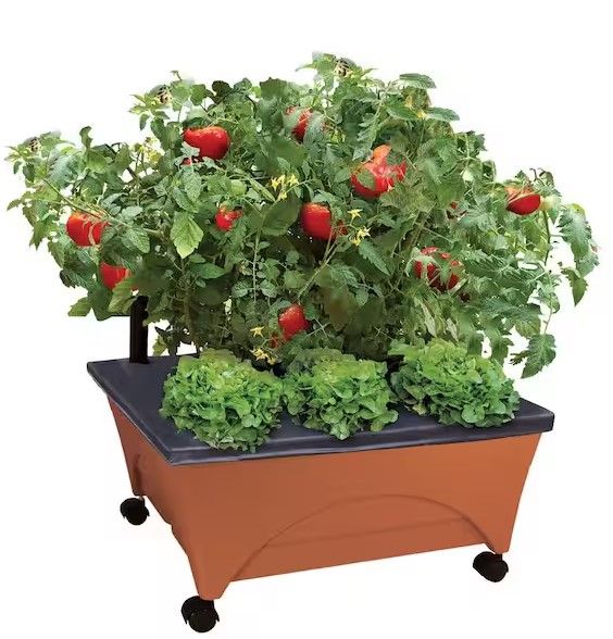 Photo 1 of 24.5 in. x 20.5 in. Patio Raised Garden Bed Grow Box Kit with Watering System and Casters in Terra Cotta
