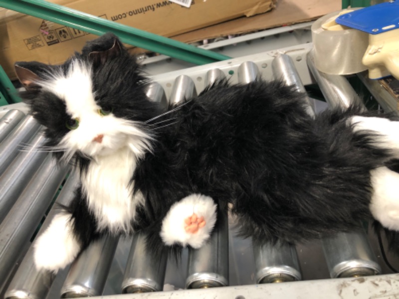 Photo 1 of JOY FOR ALL - Black & White Tuxedo Cat - Interactive Companion Pets - Realistic & Lifelike