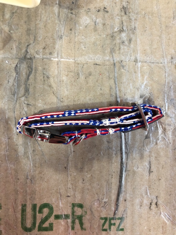 Photo 3 of Lionet Paws Patriotic Dog Collar with Bowtie