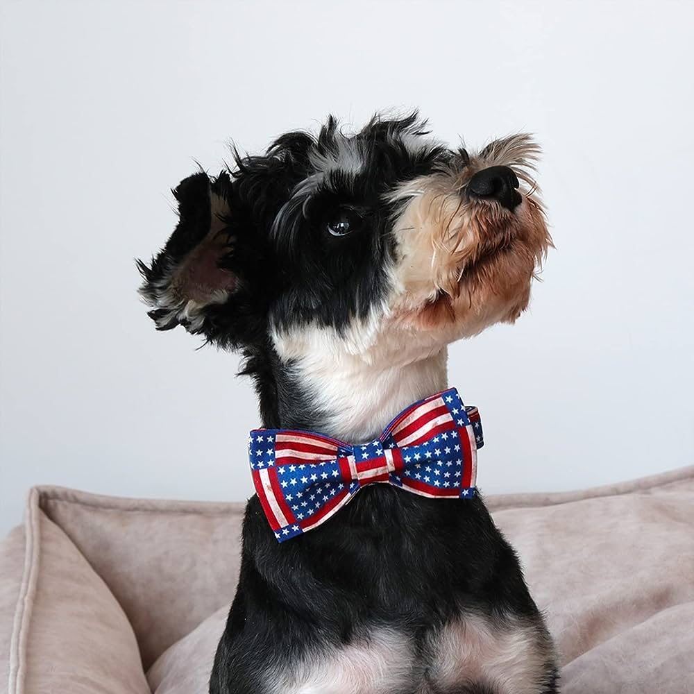 Photo 1 of Lionet Paws Patriotic Dog Collar with Bowtie