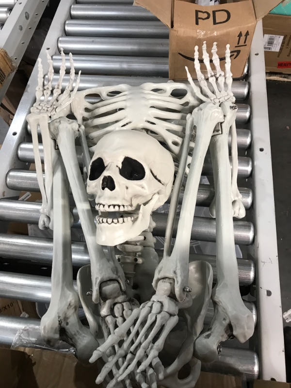 Photo 1 of (SEE NOTES) Posable Life Size Human Skeleton
