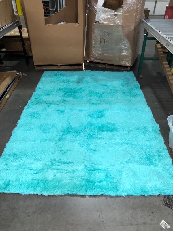 Photo 2 of *STOCK PHOTO REFERENCE ONLY* TWINNIS Super Soft Shaggy Rugs Fluffy Carpets, 6x9  BLUE