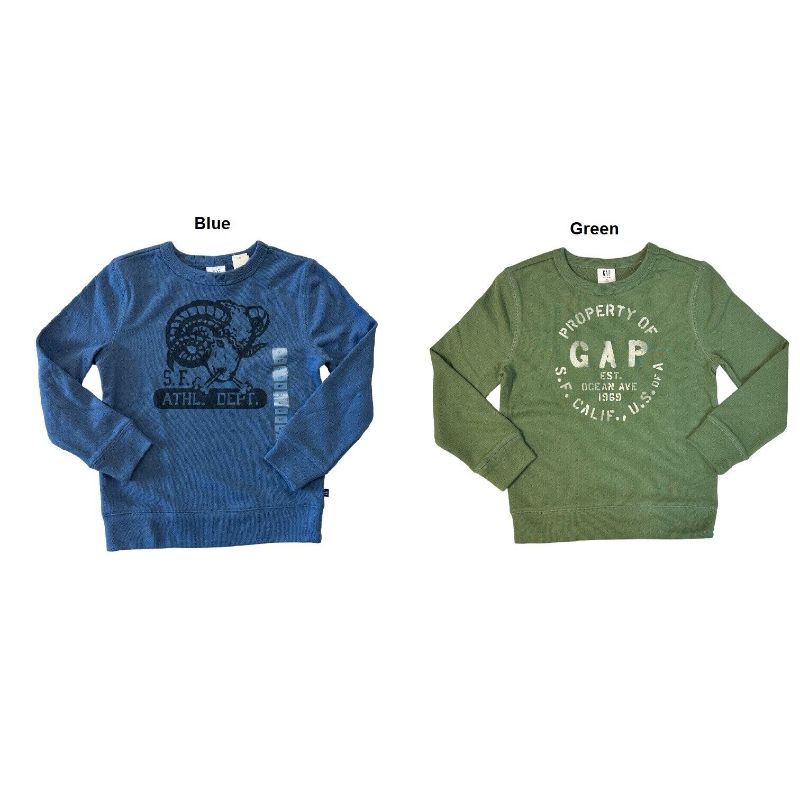 Photo 3 of Gap Boy's Terry Lined Graphic Print Crewneck Pullover Sweatshirt two pack green,blue size 10/12
