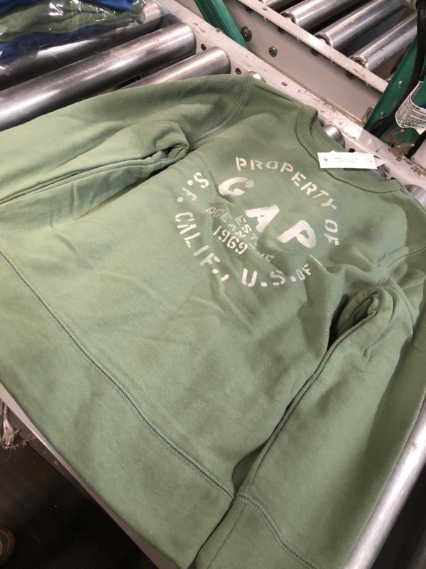 Photo 1 of Gap Boy's Terry Lined Graphic Print Crewneck Pullover Sweatshirt two pack green,blue size 14/16
