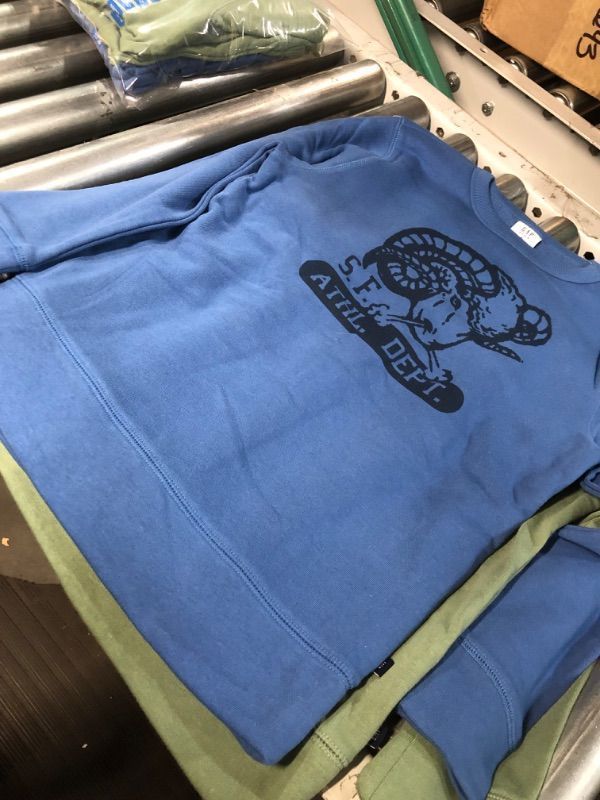Photo 1 of Gap Boy's Terry Lined Graphic Print Crewneck Pullover Sweatshirt two pack green,blue size4/5
