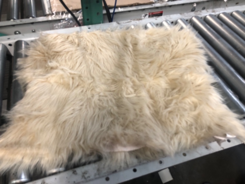 Photo 2 of **A LITTLE DIRTY** SERISSA Faux Sheepskin Fur Area Rug White Fur Chair  2x3 Feet 2 x 3 feet White