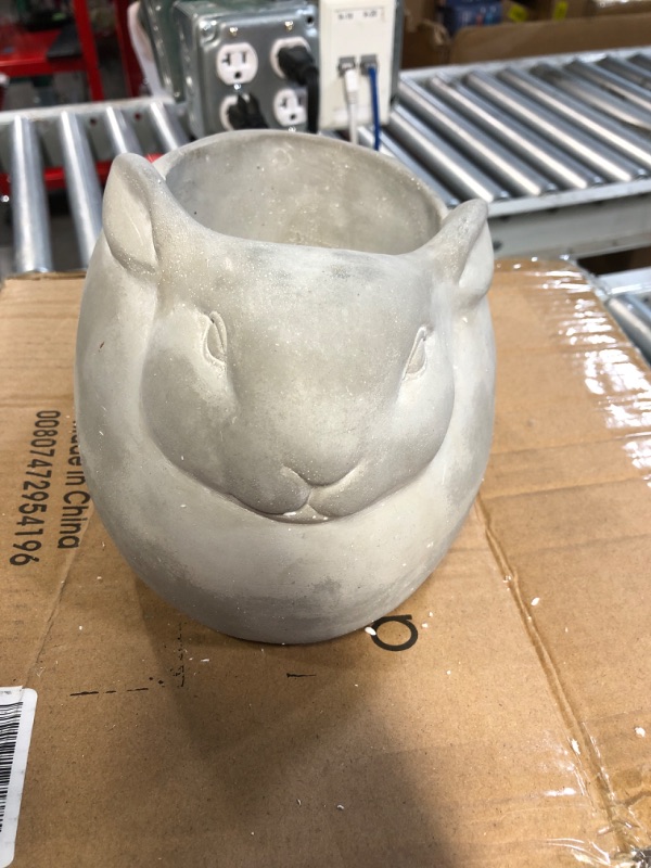 Photo 2 of **SAUCER CRACKED     Creative Co-Op Cement Rabbit Planter with Saucer 