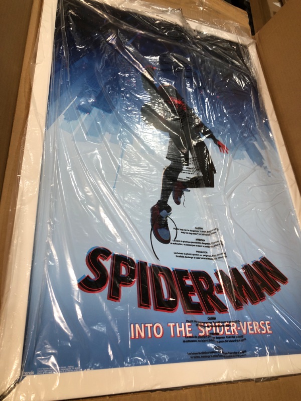 Photo 1 of **FRAME IS BROKEN**
Marvel Comics Movie - Spider-Man: Enter The Spider-Verse - Falling One Sheet Poster, Size: 22.375\ x 34\, FR17117WHT22X34EC