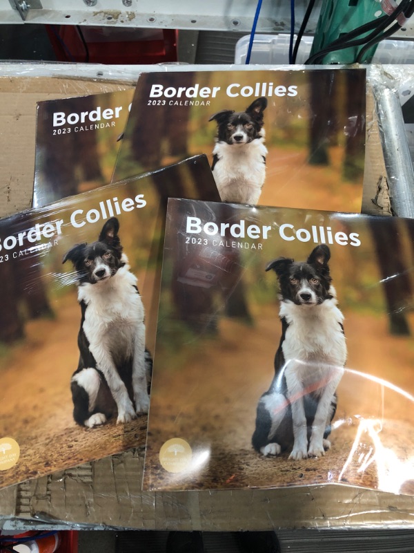 Photo 2 of 4pk-2023 Border Collies Wall Calendar by Bright Day, 12x12 Inch, Cute Adorable Pet Dog Photography