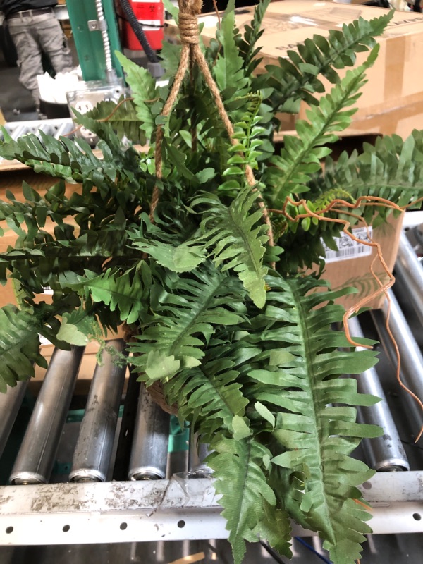 Photo 2 of (Used) Nearly Natural 6599 18in. Boston Fern Silk Hanging Basket, Green,10.25" x 10.25" x 17.5"
