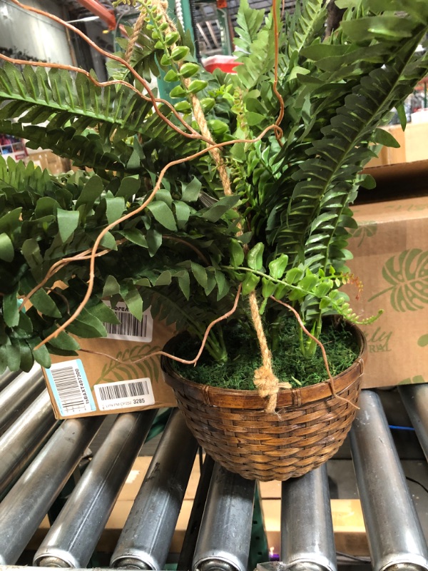 Photo 3 of (Used) Nearly Natural 6599 18in. Boston Fern Silk Hanging Basket, Green,10.25" x 10.25" x 17.5"
