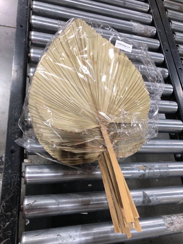 Photo 1 of (3 pk set) Athena’s Home & Decor - Pack of 10 Natural Dried Palm Leaves 18" x 12" Each 