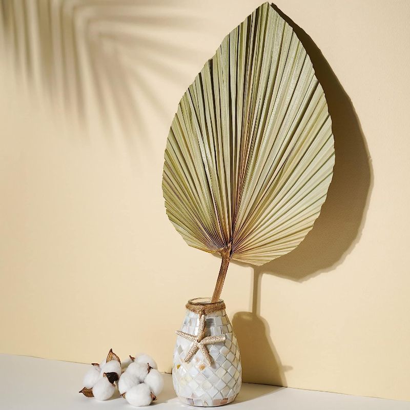 Photo 1 of (3 pk set) Athena’s Home & Decor - Pack of 10 Natural Dried Palm Leaves 18" x 12" Each 