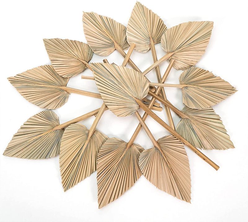 Photo 1 of (3 pk set) Athena’s Home & Decor - Pack of 10 Natural Dried Palm Leaves 18" x 12" Each 