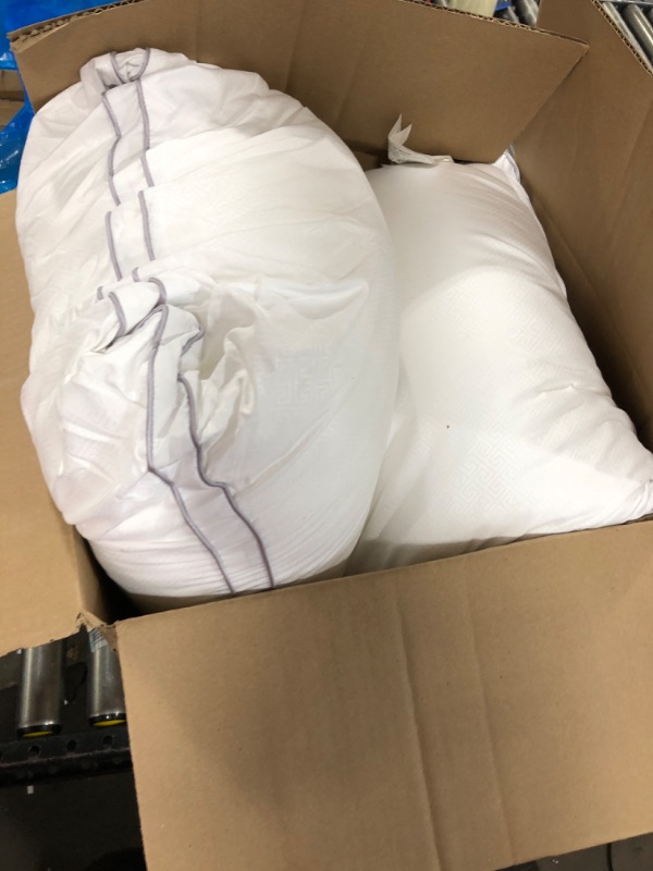 Photo 1 of 2 pack of white pillows