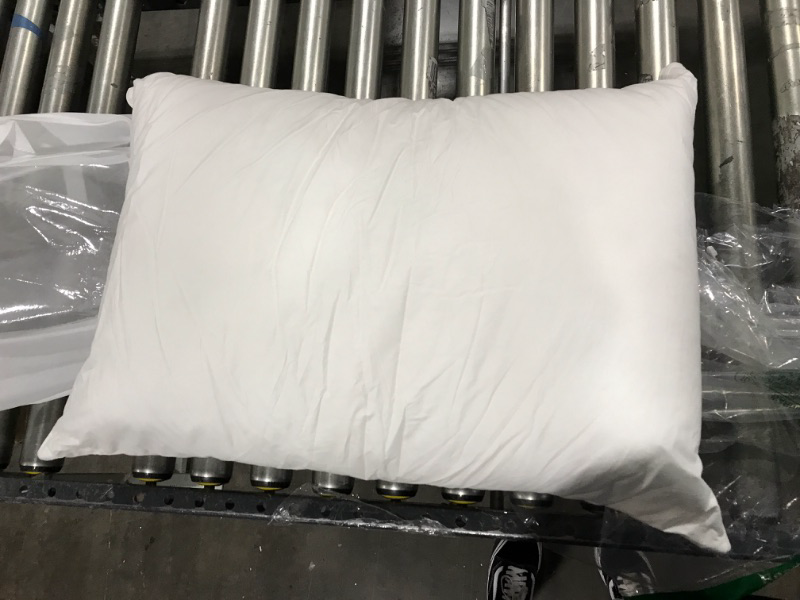 Photo 1 of 27 x 19 pillow 
