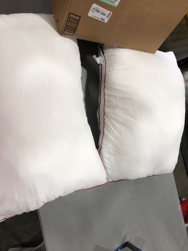 Photo 1 of 2 standard pillows 