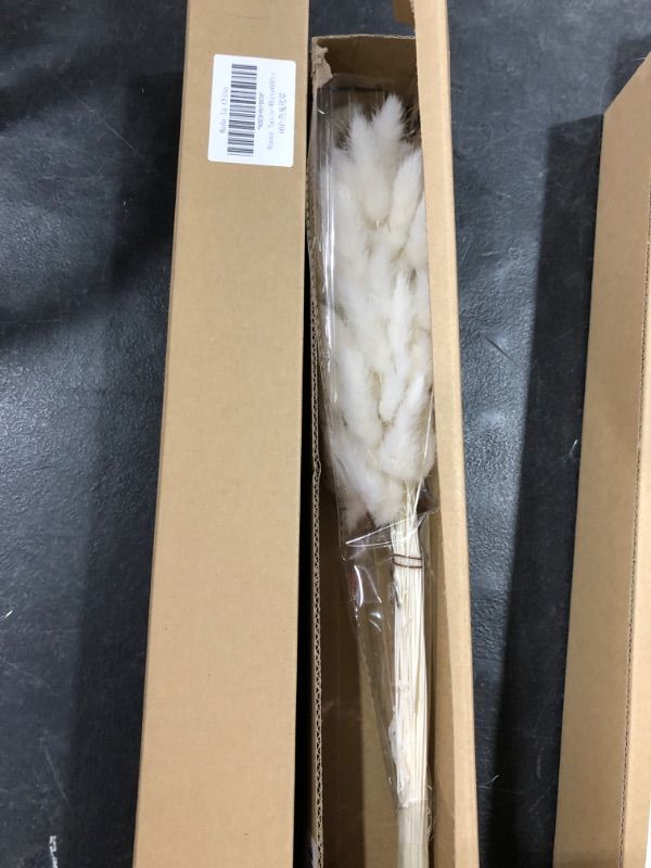Photo 1 of 50-60 pcs Rabbit Tail Dried Flowers Home Decoration Lagurus Ovatus , Real Flower, Eternal Flower Dried Grass,Flower Bouquet, Dried Pampas Grass Flower Arrangements Wedding Home Decor ?Natural?
