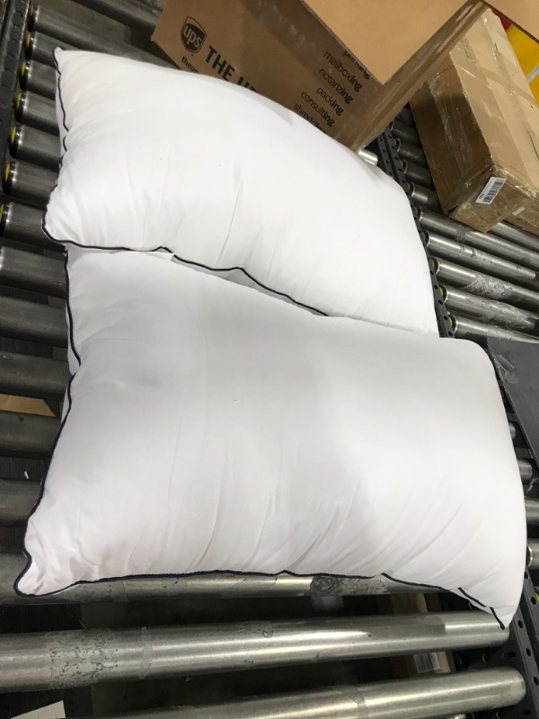 Photo 1 of 2 pk of pillows