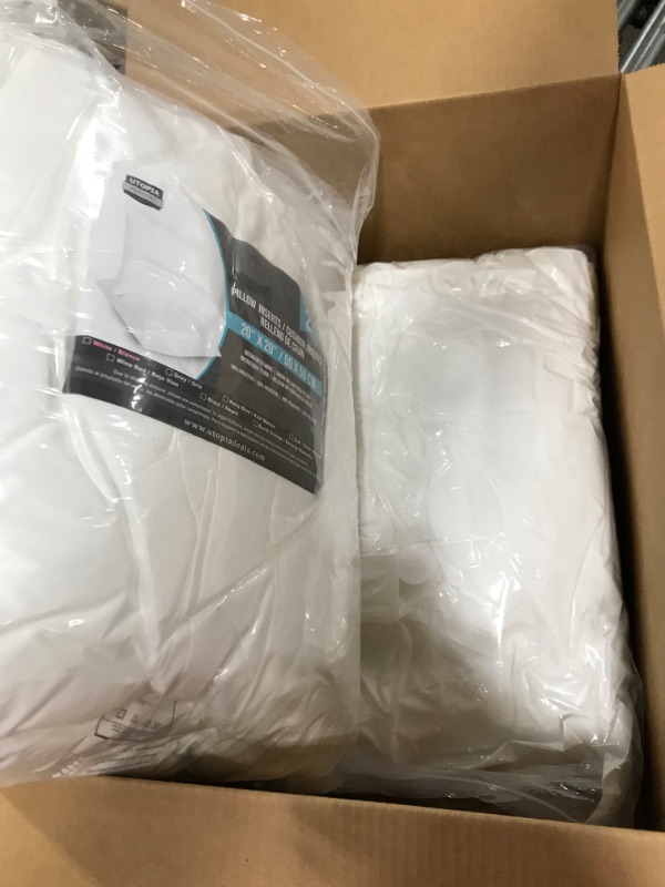Photo 1 of 20x20 white pillow set