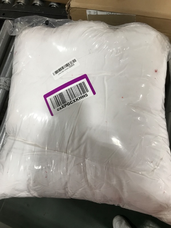 Photo 2 of 22x24 pillow white 