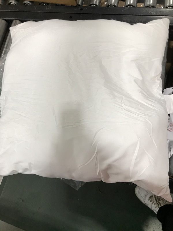 Photo 1 of 19x19 white pillow square