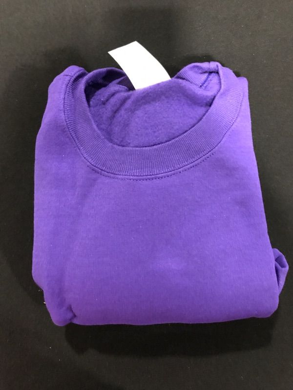 Photo 2 of [Size M] Hanes EcoSmart Sweatshirt- Purple