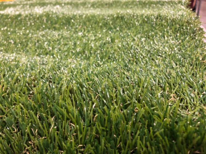 Photo 2 of 36X58 ARTIFICIAL GRASS 