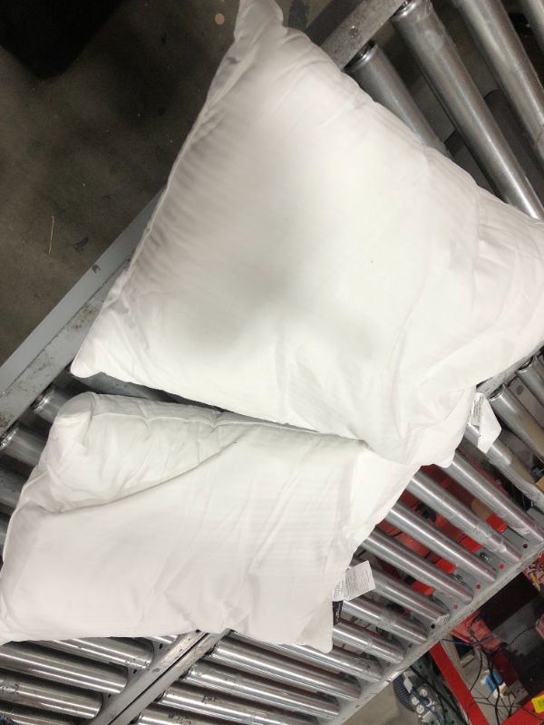 Photo 1 of 2 Pillows Size Med 