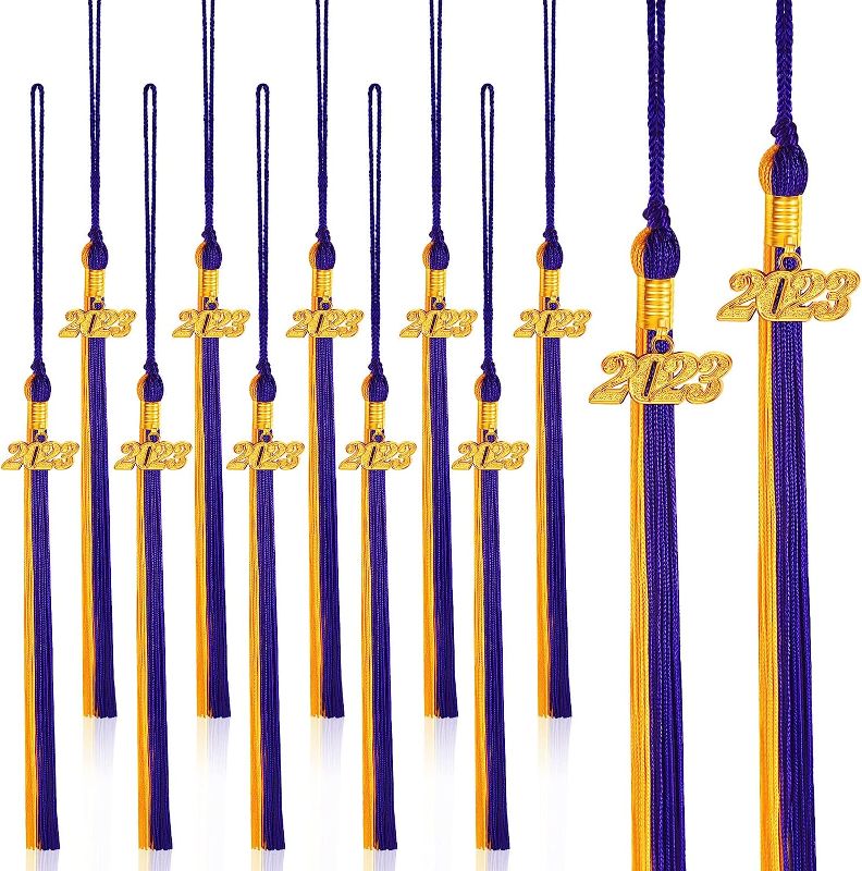 Photo 1 of 20 Pcs 2023 Graduation Tassel with Gold Date Drop, 2023 Graduation Cap Tassel Charm for Hat Graduation Party Ceremonies Decoration, 9.5''(Purple, Gold) 