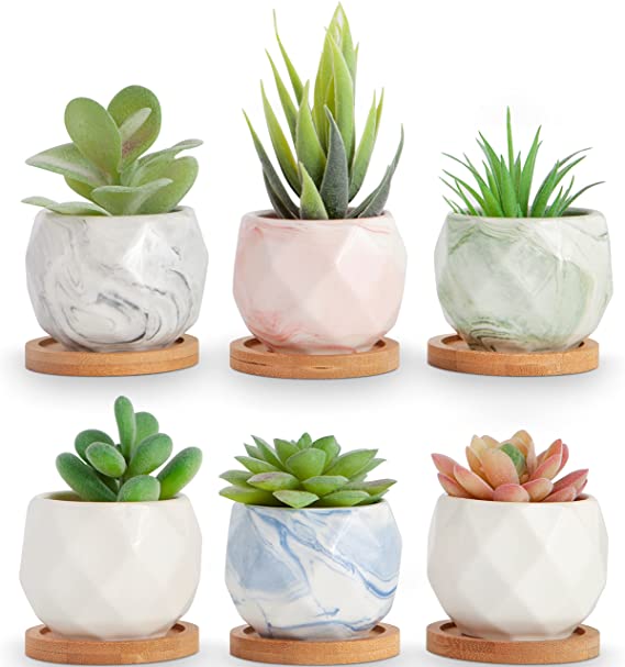 Photo 1 of 
.

ilohaus Succulent Pots 2.2", Plant Pots Indoor, Succulent Planters, Small Plant Pots, Cactus Pot, Cute Plant Pots, Small Flower Pots, Small Succulent Pot, Small Planter Set
