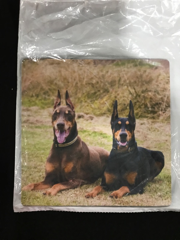 Photo 2 of 3D Rose "Two Doberman Pinscher Dogs in A FieldUs05 Zmu0299Zandria Muench Beraldo" Matte Finish Mouse Pad - 8 x 8" - mp_142968_1