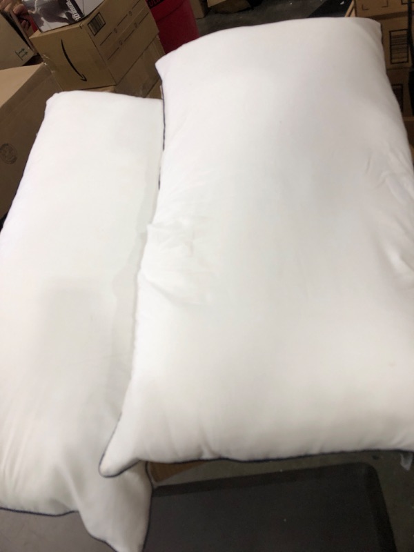 Photo 1 of 2 Pillows 