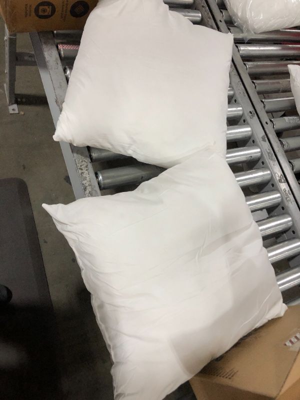 Photo 1 of 2 Small PIllows 