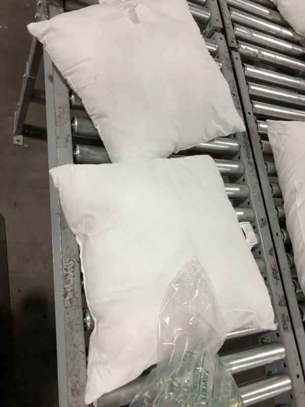 Photo 1 of 2 Small Pillows 