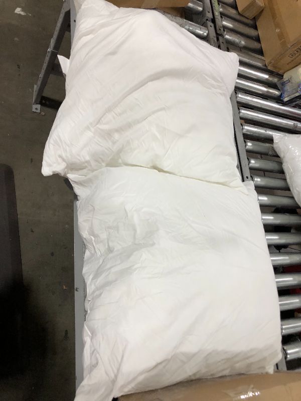 Photo 1 of 2 Large Pillows 