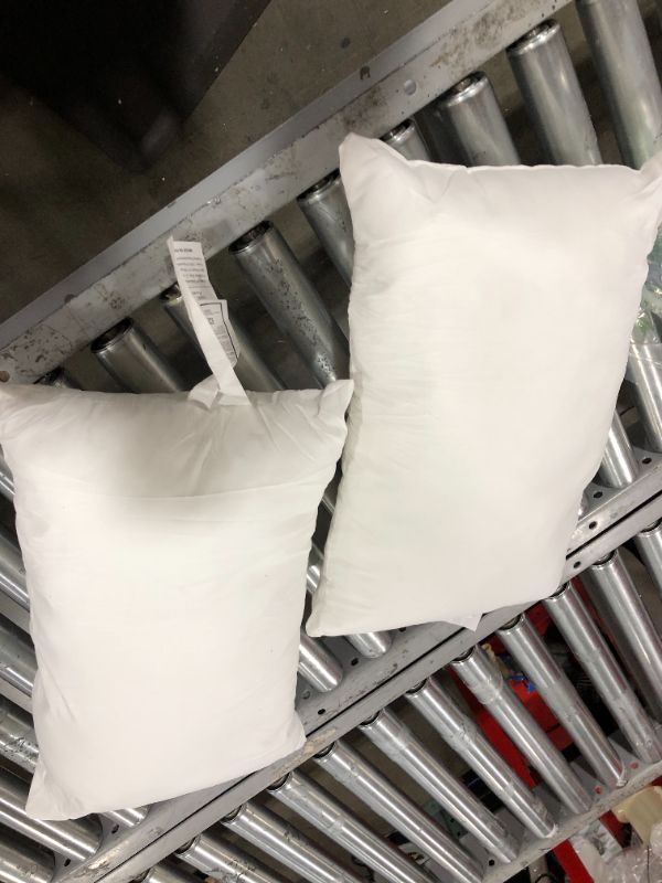 Photo 1 of 2 Small PIllows 