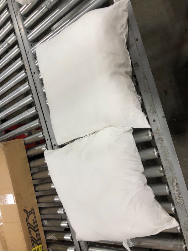 Photo 1 of 2 Pillows 